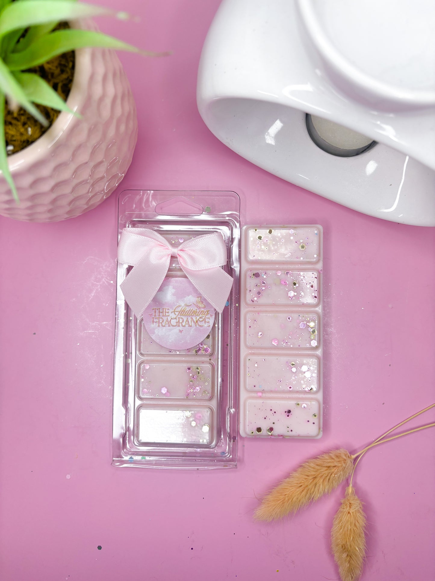 Pinky Sands Clamshell - Y*nkee Candle